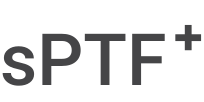 sPTF+ | Intense Pulse Light Charging Technology